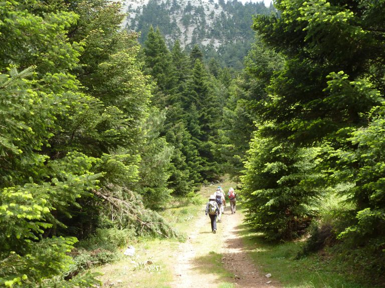 «Στο δίκτυο των “Απάτητων Βουνών” ζητούν να ενταχθεί το Χιονοβούνι Πάρνωνα οι Δήμοι Μονεμβασίας, Ευρώτα και Νότιας Κυνουρίας