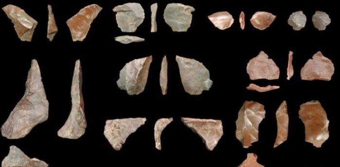 Σημαντικά ευρήματα της παλαιολιθικής περιόδου βρέθηκαν στο λιγνιτωρυχείο της Μεγαλόπολης