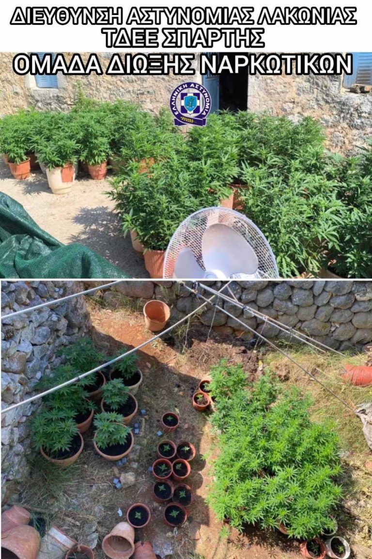 Μία σύλληψη για ναρκωτικά στη Μάνη