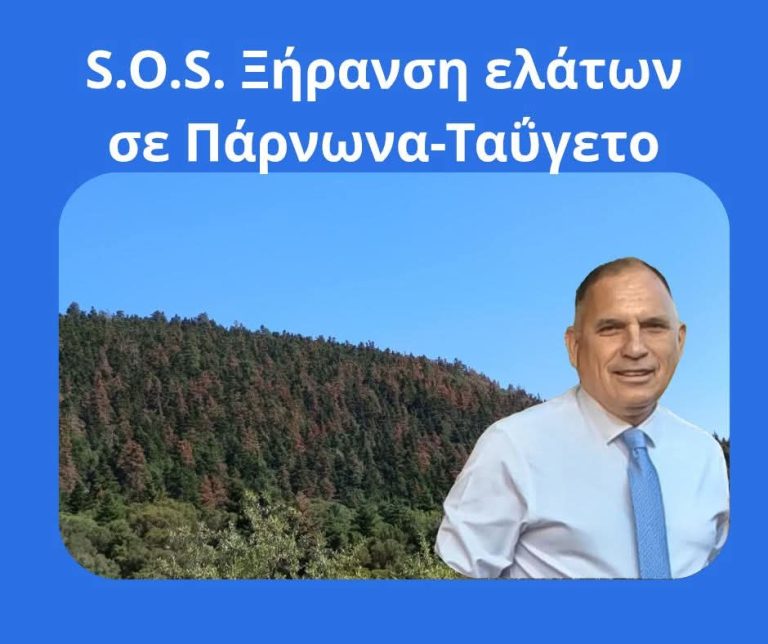 Κρητικός: Ανησυχητική η ξήρανση των ελάτων σε Πάρνωνα και Ταΰγετο – Αναφορά προς τον Υπουργό Περιβάλλοντος