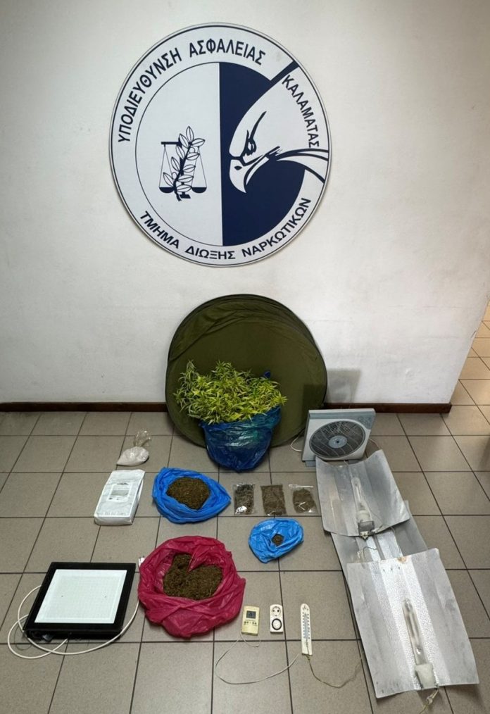 23.10.25 entopismos dendryllia-messinia (4)