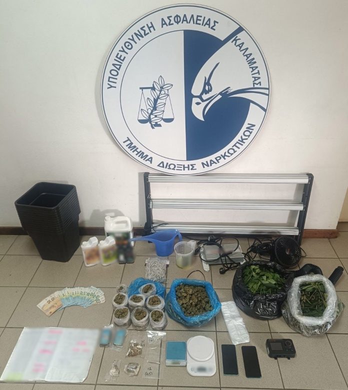 18.11.2025 messinia-fyta & kannavh eswterikh kalliergeia