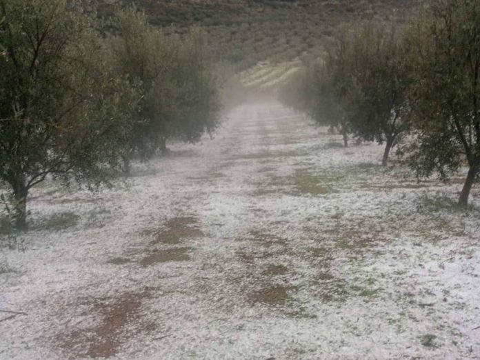 viber_image_2025-11-11_18-11-58-252