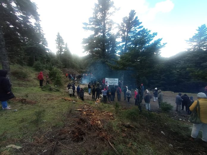 Kosmas anemogenniotries kinitpoihsh