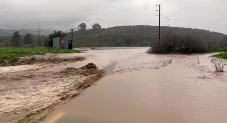 Έως 26/03/2026 οι αιτήσεις κρατικής αρωγής για τις πλημμύρες στον Δήμο Σπάρτης