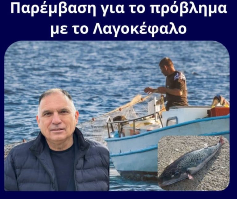 Κρητικός: Ανάγκη εθνικού, ολιστικού σχεδίου για την αντιμετώπιση του τοξικού λαγοκέφαλου
