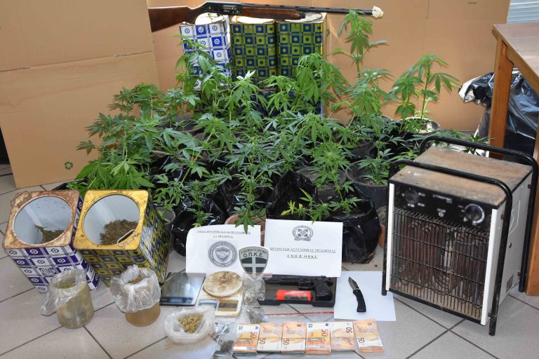 Θερμοκήπια κάνναβης εντοπίστηκαν στη Μεσσηνία – Κατασχέσεις και συλλήψεις